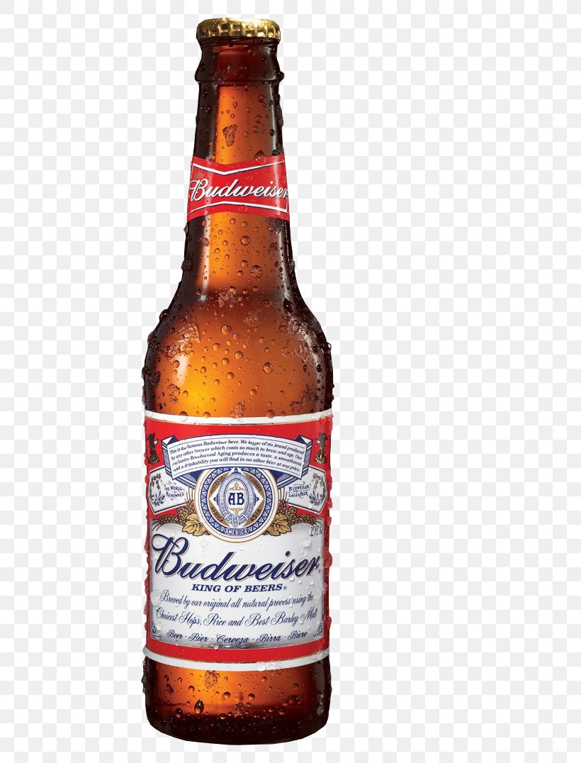 Budweiser Beer Anheuser-Busch Lager United States, PNG, 452x1076px, Budweiser, Alcoholic Beverage, Alcoholic Drink, Ale, American Lager Download Free