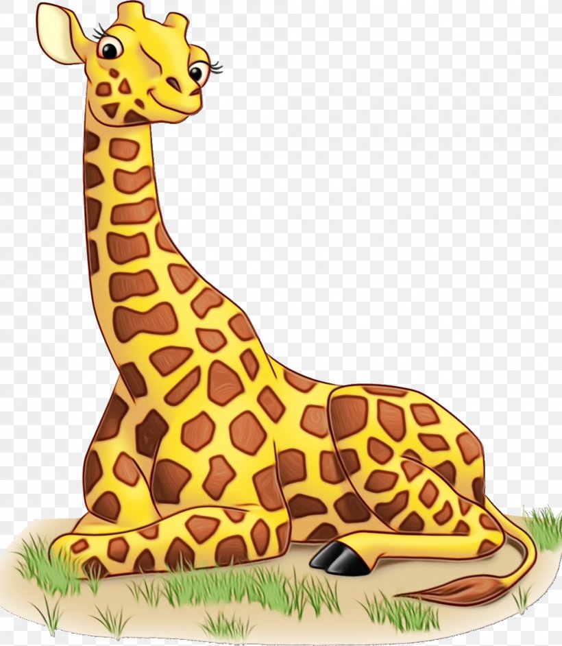 Giraffe Giraffidae Terrestrial Animal Animal Figure Wildlife, PNG, 993x1141px, Watercolor, Animal Figure, Giraffe, Giraffidae, Natural Environment Download Free