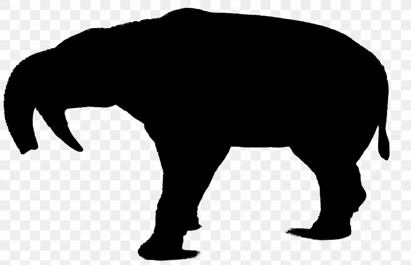 Wolf Silhouette Indian Elephant Bear Art, PNG, 4112x2657px, Wolf, African Elephant, Albert Einstein, Art, Bear Download Free