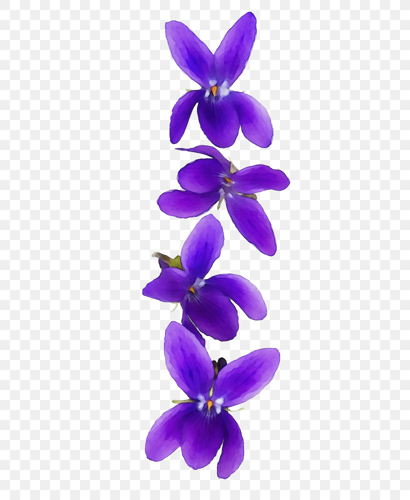 Lavender, PNG, 666x1000px, Watercolor, Biology, Flower, Lavender, Moth Orchids Download Free