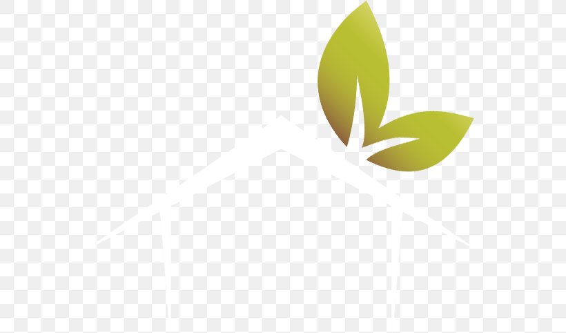 Logo Brand Leaf Desktop Wallpaper, PNG, 555x482px, Logo, Brand, Computer, Green, Leaf Download Free