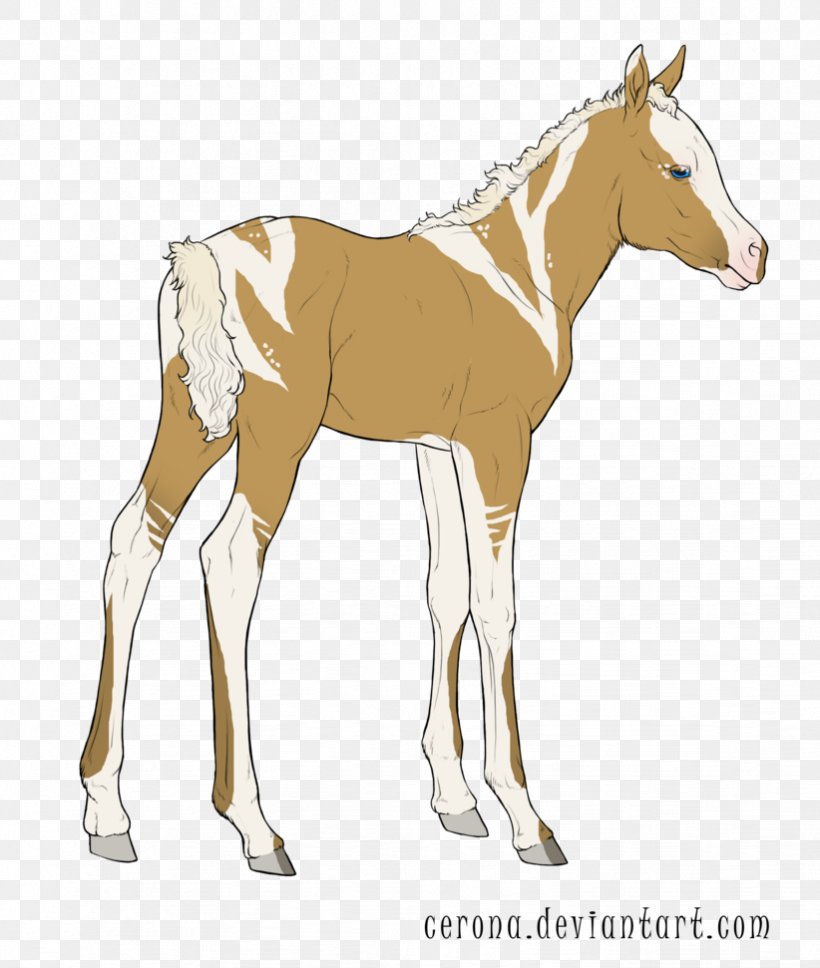 Mule Mustang Foal Stallion Halter, PNG, 822x971px, Mule, Animal Figure, Bridle, Colt, Foal Download Free