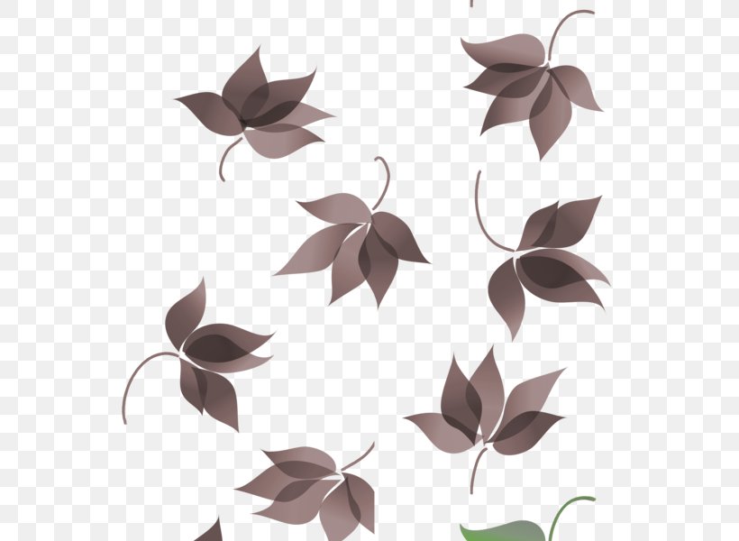 Petal Pattern Symmetry Product Design Twig, PNG, 600x600px, Petal, Branch, Flora, Flower, Leaf Download Free