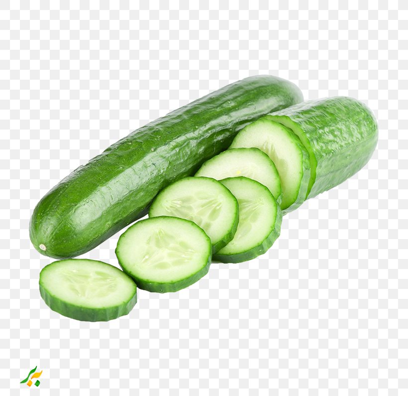 Pickled Cucumber Cucumber Sandwich Vegetable Vegetarian Cuisine, PNG, 795x795px, Cucumber, Cucumber Gourd And Melon Family, Cucumber Sandwich, Cucumis, Food Download Free