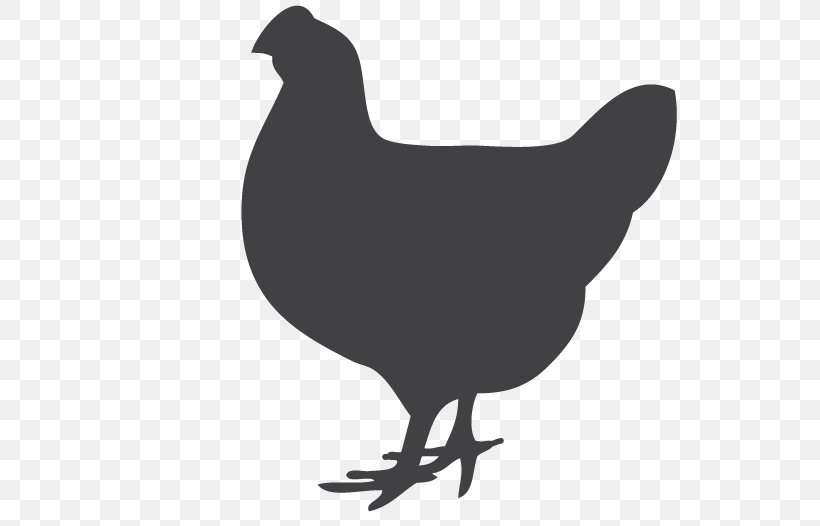 Rooster Chicken Silhouette Clip Art, PNG, 772x526px, Rooster, Avian Influenza, Beak, Bird, Black And White Download Free