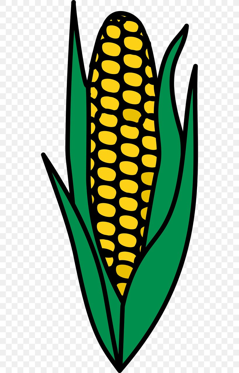Corn On The Cob Candy Corn Corn Flakes Corn Pudding, PNG, 640x1280px, Corn On The Cob, Candy Corn, Corn, Corn Allergy, Corn Flakes Download Free