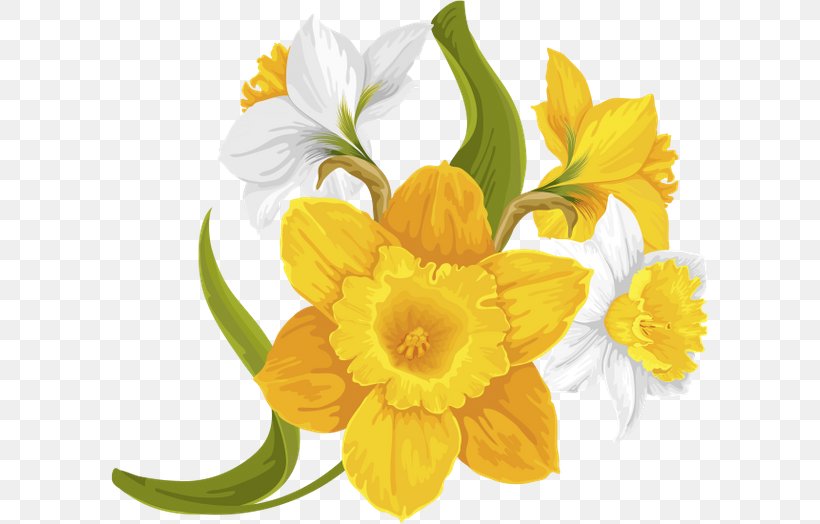 Daffodil Floral Design Cut Flowers Yellow, PNG, 600x524px, Daffodil, Amaryllis Family, Chamaemelum, Common Sunflower, Cut Flowers Download Free