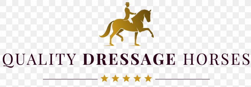 Horse Dressage Pack Animal Fajer Al-sabah School Levels, PNG, 1000x348px, Horse, Brand, Dressage, Horse Like Mammal, Horse Supplies Download Free
