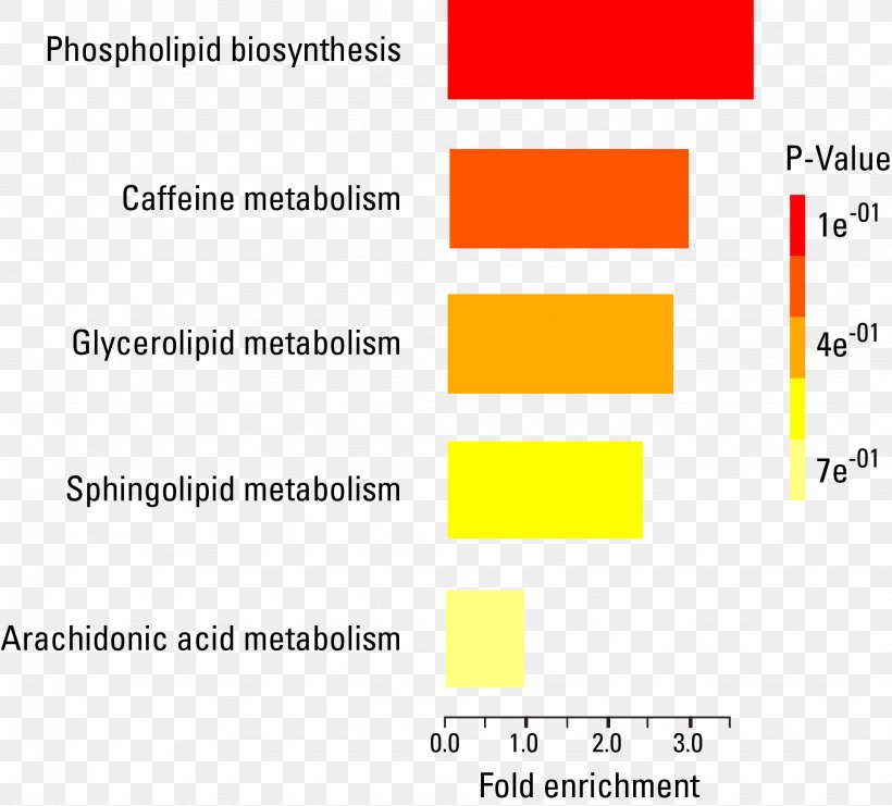 Metabolomics Lipidomics Exosome Metabolic Profiling: Methods And Protocols Metabolome, PNG, 1944x1758px, Metabolomics, Acute Myeloid Leukemia, Analysis, Area, Brand Download Free