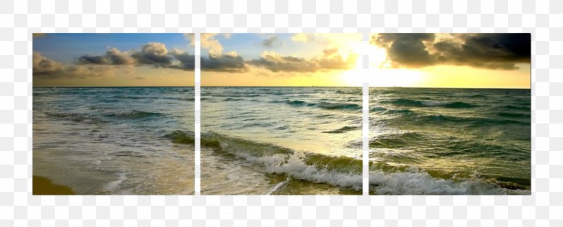 Photography Shore Photographic Printing Picture Frames, PNG, 1024x414px, Photography, Geological Phenomenon, Geology, Grass, Heat Download Free