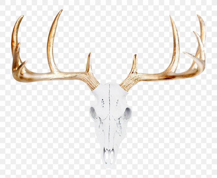 White-tailed Deer Bison Animal Skulls, PNG, 1142x936px, Deer, Animal, Animal Skulls, Antler, Bison Download Free