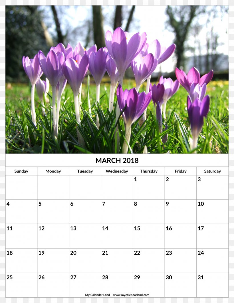 Flower Autumn Crocus Iris Family Plant Garden, PNG, 2550x3300px, Flower, Autumn Crocus, Botany, Bulb, Calendar Download Free