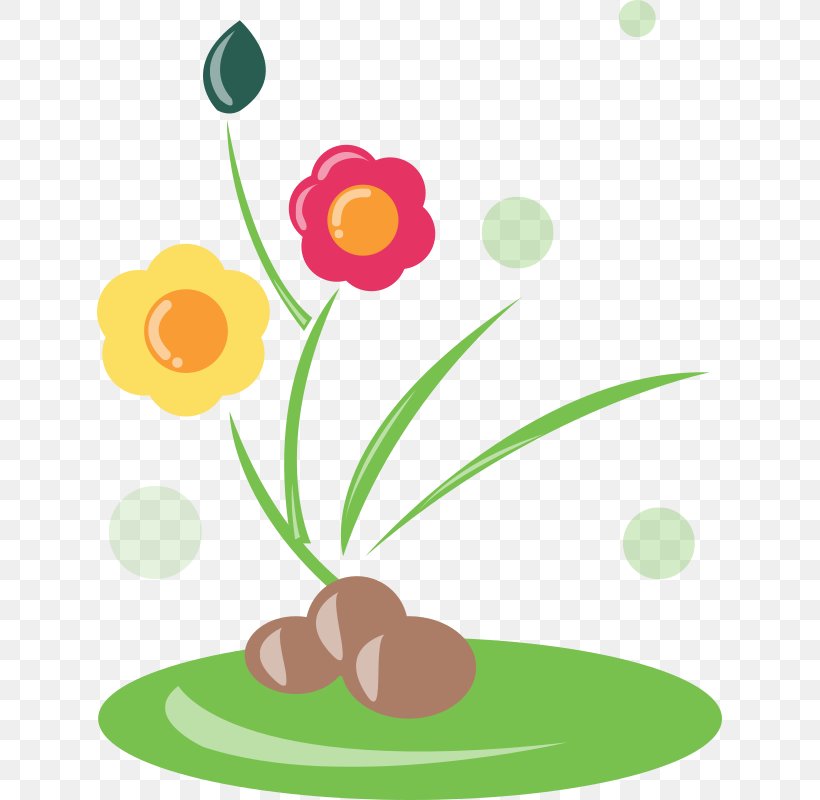 Flower Drawing Clip Art, PNG, 625x800px, Flower, Artwork, Color, Drawing, Flora Download Free