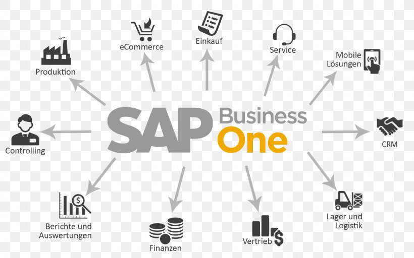 SAP Business One Enterprise Resource Planning SAP SE Management, PNG, 1920x1200px, Sap Business One, Brand, Business, Business Partner, Business Productivity Software Download Free