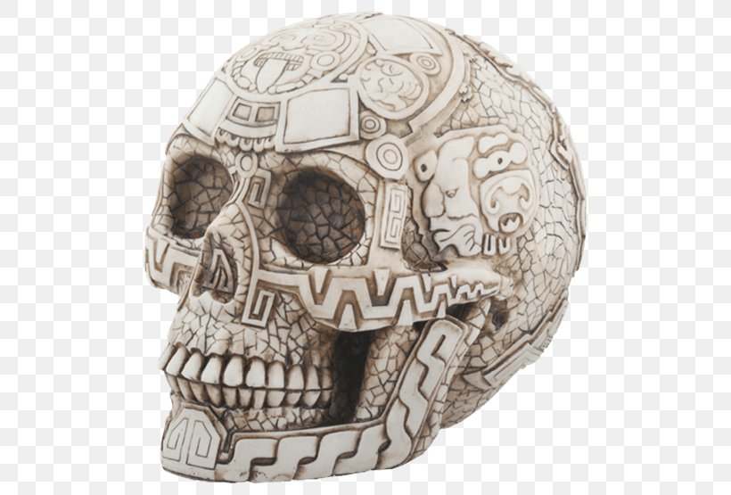 Skull Calavera Figurine Sculpture The Evolution Store, PNG, 555x555px, Skull, Art, Aztec, Bone, Calavera Download Free