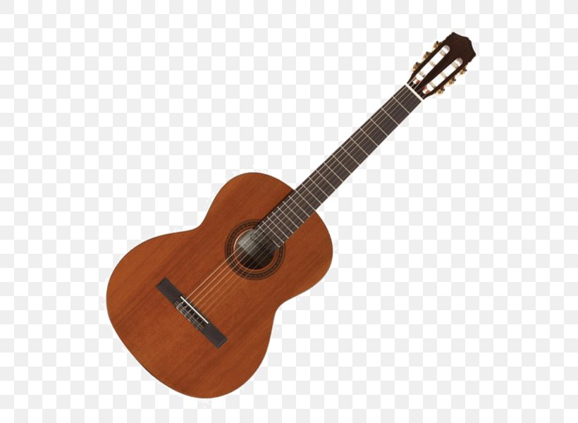Steel-string Acoustic Guitar C. F. Martin & Company Dreadnought, PNG, 600x600px, Acoustic Guitar, Acousticelectric Guitar, C F Martin Company, Cavaquinho, Christian Frederick Martin Download Free