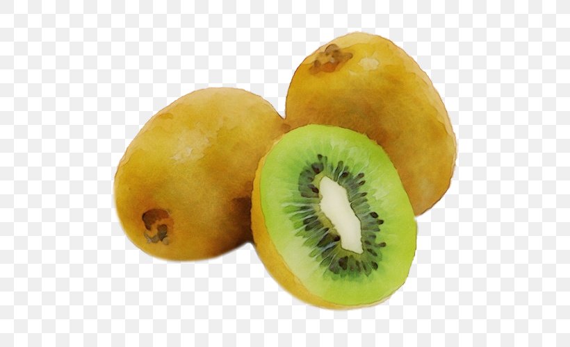 Fruit Kiwifruit Food Plant Accessory Fruit, PNG, 500x500px, Watercolor, Accessory Fruit, Food, Fruit, Kiwifruit Download Free