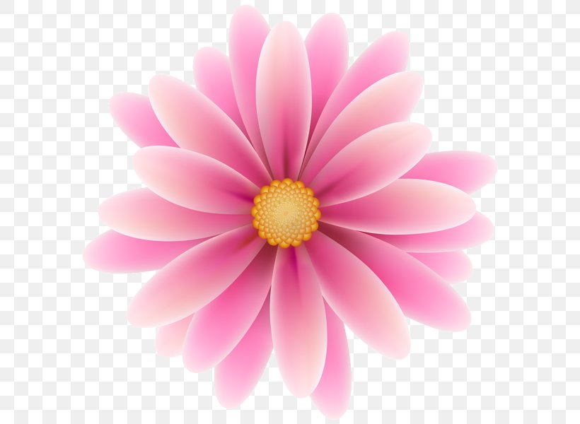 Pink Flowers Clip Art, PNG, 600x600px, Pink Flowers, Art, Blossom, Carnation, Chrysanths Download Free