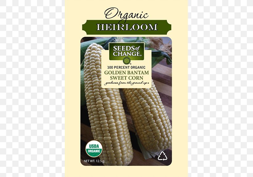 Sweet Corn Organic Food Popcorn Golden Bantam Corn Kernel, PNG, 573x573px, Sweet Corn, Certification, Commodity, Corn Kernel, Flour Corn Download Free