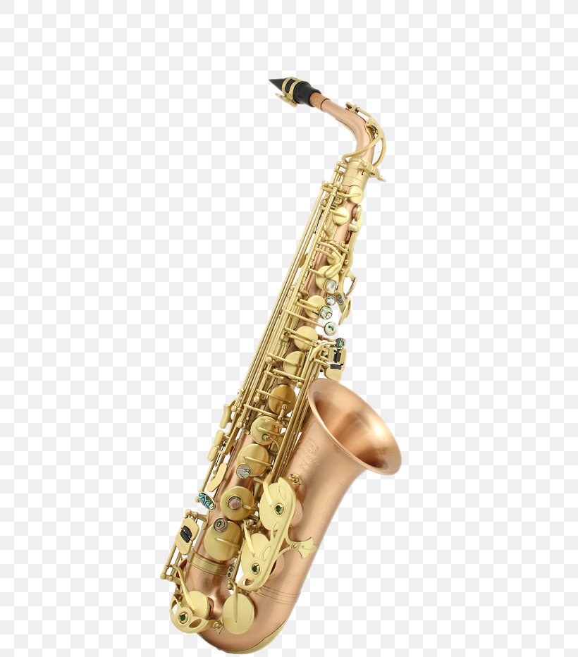 Baritone Saxophone Musical Instrument Wind Instrument, PNG, 554x932px, Watercolor, Cartoon, Flower, Frame, Heart Download Free