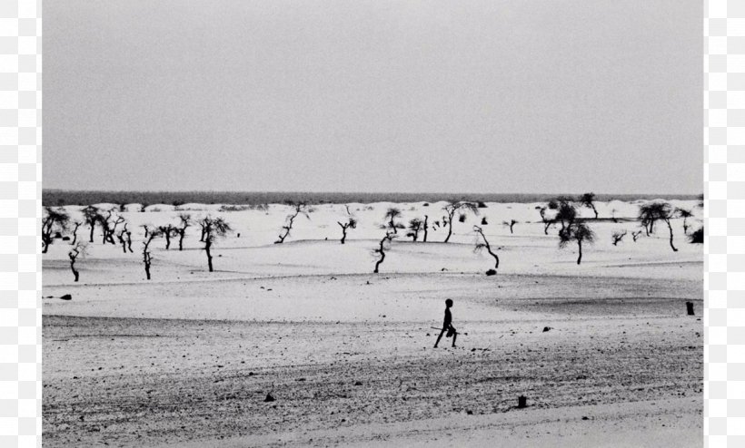 Brazil Photographer Photography Photojournalism Photojournalist, PNG, 1225x739px, 8 February, Brazil, Beach, Black And White, Coast Download Free