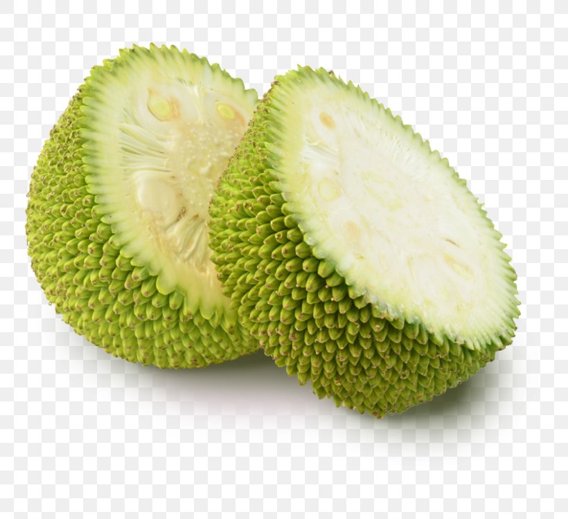 Jackfruit Flavor Food Electronic Cigarette Aerosol And Liquid, PNG, 750x750px, Jackfruit, Artocarpeae, Artocarpus, Artocarpus Odoratissimus, Breadfruit Download Free