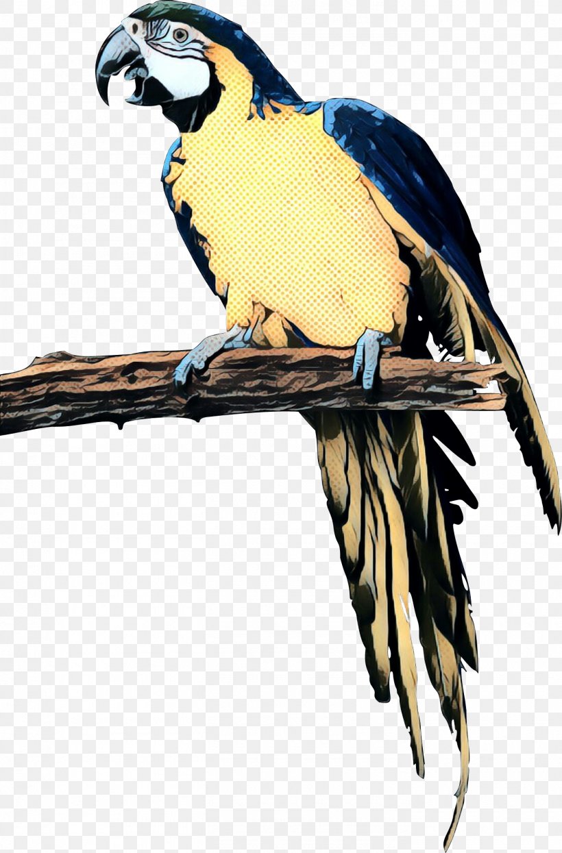 Parrot Dog Bird Pet Exotic Animal Veterinarian, PNG, 1405x2134px, Parrot, Animal, Beak, Bird, Blueandyellow Macaw Download Free