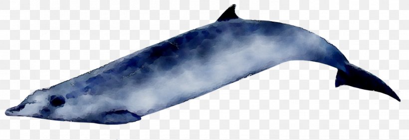 Tucuxi Porpoise Ginkgo-toothed Beaked Whale Dolphin, PNG, 1483x510px, Tucuxi, Animal, Baikecom, Beaked Whale, Blue Whale Download Free