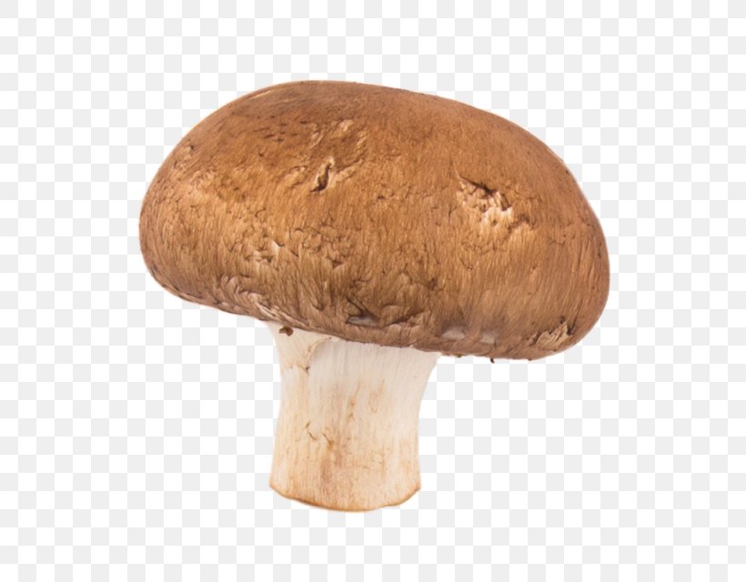 Common Mushroom Pizza Hamburger Stuffed Mushrooms, PNG, 640x640px, Common Mushroom, Agaricaceae, Agaricomycetes, Agaricus, Bacon Download Free