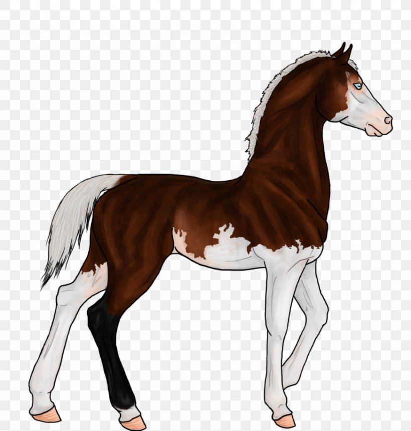 Foal Mane Mustang Stallion Colt, PNG, 872x916px, Foal, Animal Figure, Bridle, Colt, Drawing Download Free