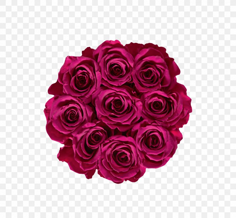 Garden Roses Cabbage Rose Cut Flowers Floral Design, PNG, 1294x1200px, Garden Roses, Cabbage Rose, Cut Flowers, Floral Design, Floristry Download Free