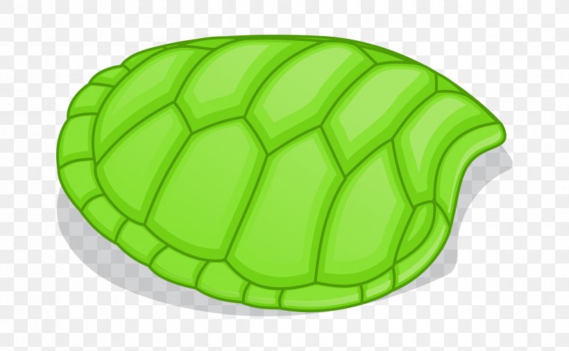 Green Sea Turtle Clip Art, PNG, 2400x1481px, Turtle, Animal, Animation, Drawing, Green Download Free