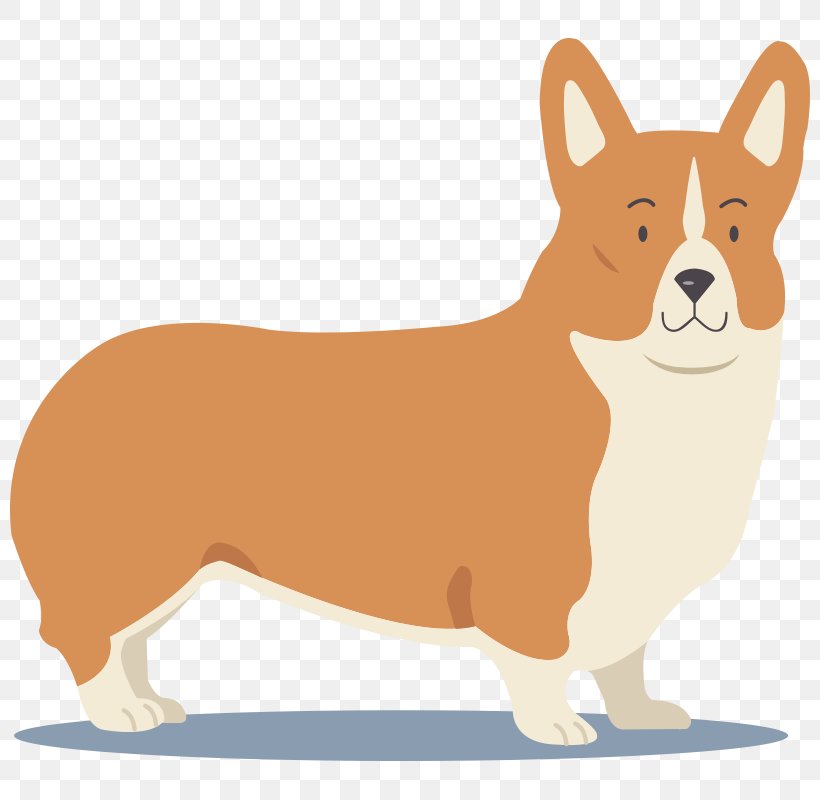 Pembroke Welsh Corgi Cardigan Welsh Corgi Dog Breed Bulldog Puppy, PNG, 800x800px, Pembroke Welsh Corgi, Boston Terrier, Bulldog, Cardigan Welsh Corgi, Carnivoran Download Free