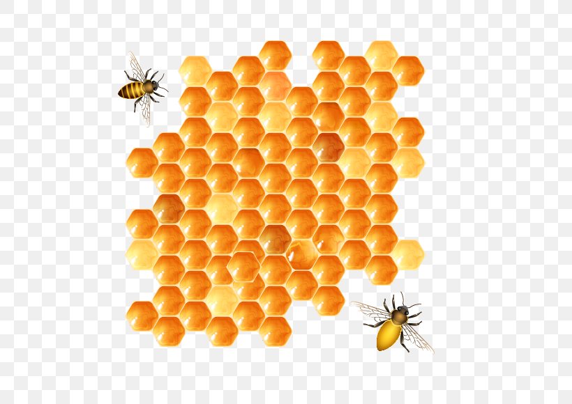 Bee, PNG, 580x580px, Bee, Beehive, Hexagon, Honey, Honey Bee Download Free