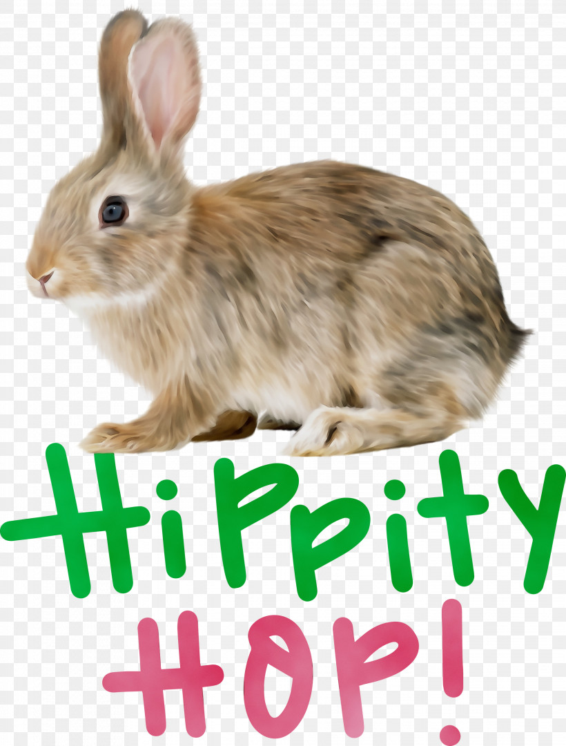 Hare Whiskers Rabbit Tail, PNG, 2276x3000px, Happy Easter, Hare, Hippity Hop, Paint, Rabbit Download Free