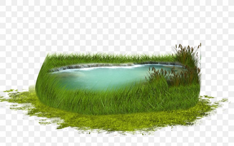 Lake Green Grass, PNG, 900x562px, Deviantart, Art, Grass, Grass Family, Plant Download Free