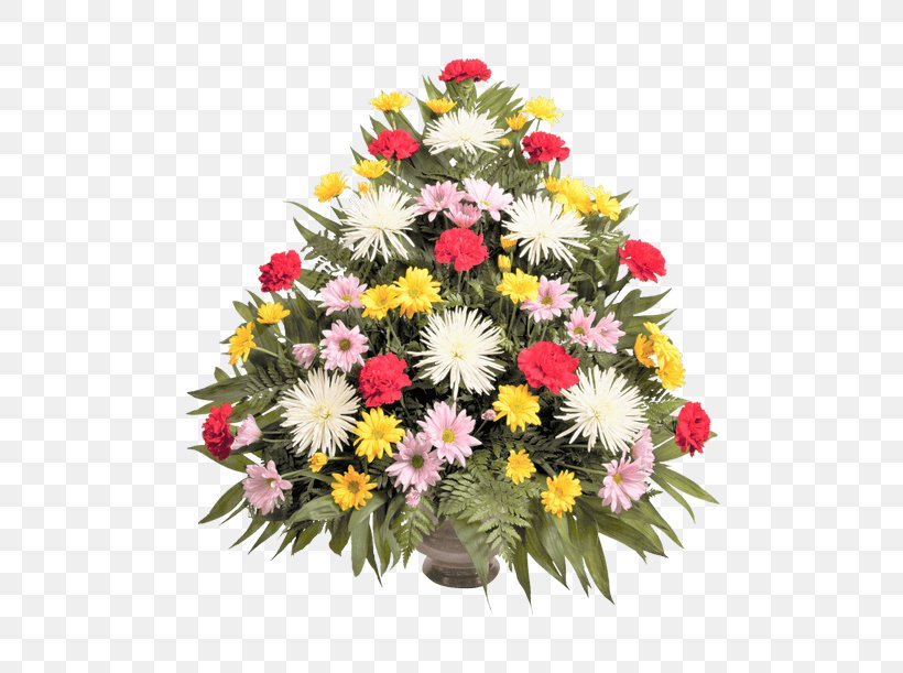 Transvaal Daisy Floral Design Cut Flowers Chrysanthemum, PNG, 500x611px, Transvaal Daisy, Annual Plant, Artificial Flower, Christmas, Christmas Decoration Download Free