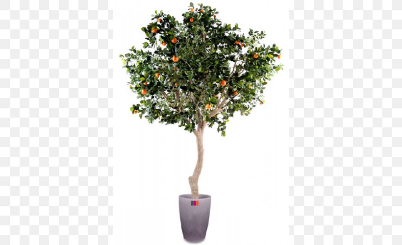 Orange Fruit Tree Green Trunk, PNG, 500x500px, Orange, Apples, Artificial Flower, Branch, Citrus Download Free