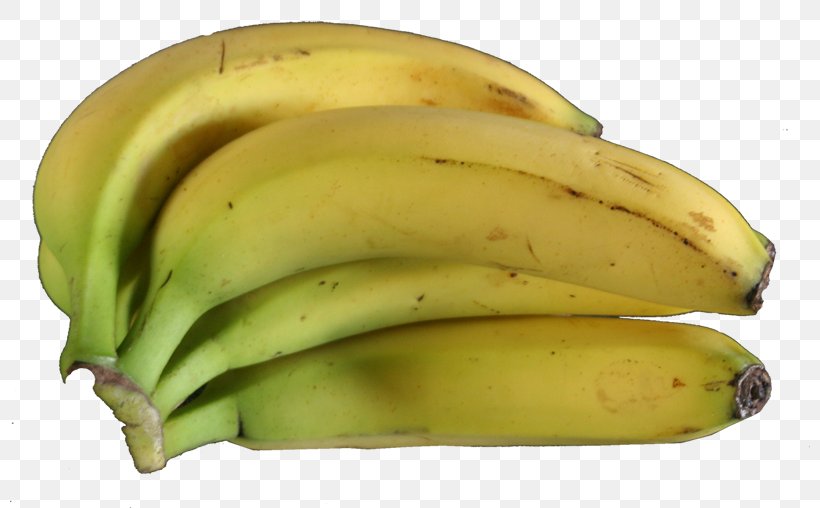 Saba Banana Cooking Banana Musa × Paradisiaca Fruit, PNG, 800x508px, Saba Banana, Avocado, Banana, Banana Family, Cooking Banana Download Free