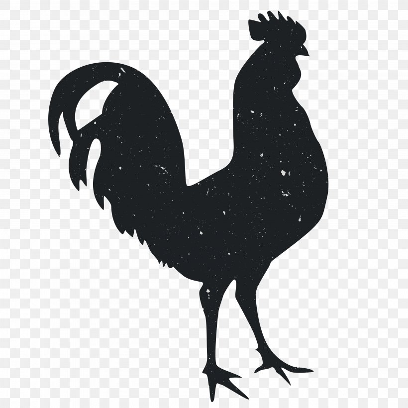 Silhouette Rooster Animal Computer File, PNG, 3600x3600px, Silhouette, Animal, Beak, Bird, Black And White Download Free
