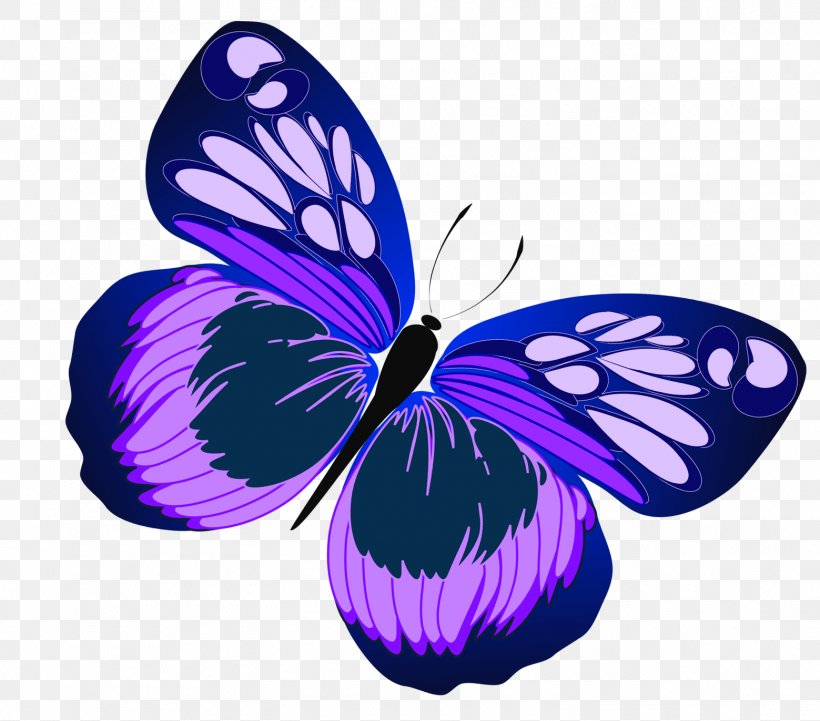 Butterfly Purple Free Content Clip Art, PNG, 1559x1372px, Butterfly, Arthropod, Blog, Blue, Brush Footed Butterfly Download Free
