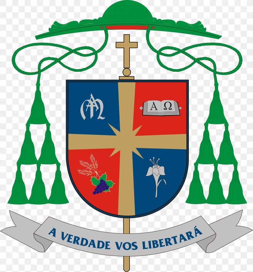 Roman Catholic Archdiocese Of Ribeirão Preto Roman Catholic Archdiocese Of Olinda E Recife Roman Catholic Archdiocese Of São Paulo Archbishop, PNG, 3366x3632px, Bishop, Archbishop, Area, Artwork, Auxiliary Bishop Download Free