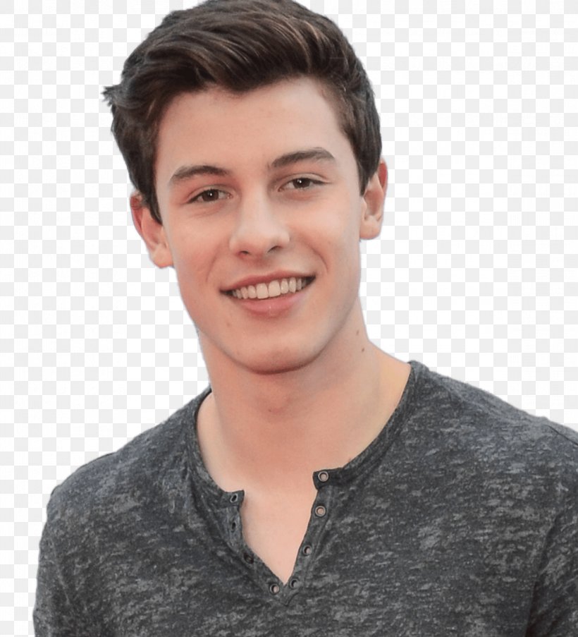 Shawn Mendes Hairstyle Model Beard, PNG, 2321x2556px, Shawn Mendes, Ansel Elgort, Beard, Cheek, Chin Download Free