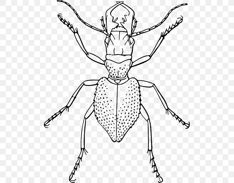Beetle Drawing Line Art Clip Art, PNG, 511x640px, Beetle, Arm, Art, Artwork, Black And White Download Free