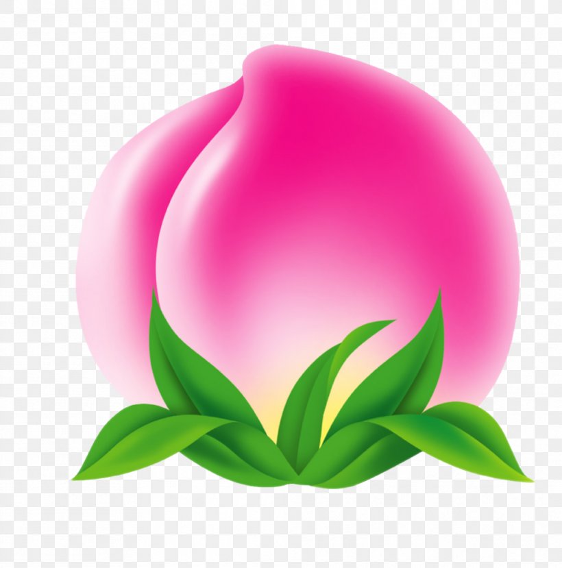 Longevity Peach Fruit Download Image, PNG, 1012x1024px, Peach, Cartoon, Cherries, Copyright, Flower Download Free