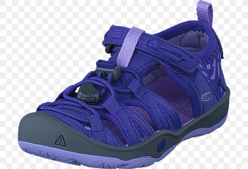 Sneakers Hiking Boot Basketball Shoe Sportswear, PNG, 705x559px, Sneakers, Aqua, Athletic Shoe, Basketball, Basketball Shoe Download Free