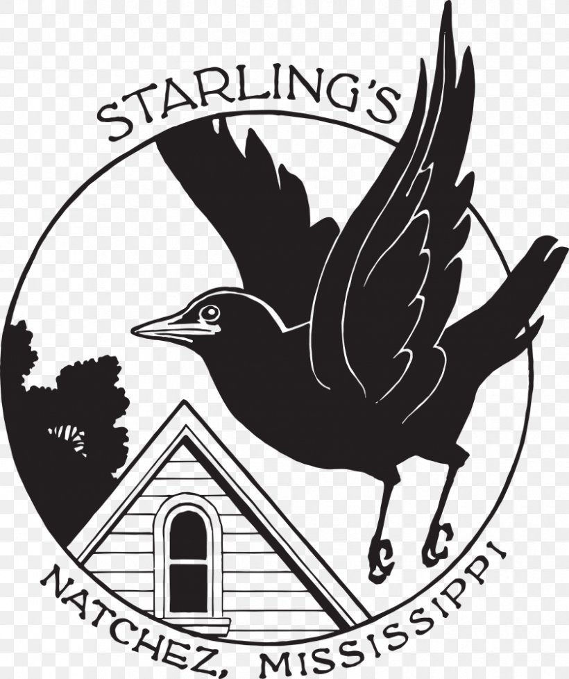 Starlings Hotel (Natchez Campus) Bed And Breakfast Accommodation Hotel Royal, PNG, 838x1000px, Hotel, Accommodation, Beak, Bed And Breakfast, Bird Download Free
