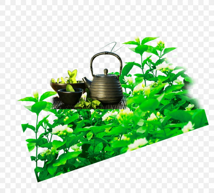 Teapot, PNG, 1000x901px, Tea, Chawan, Grass, Green, Herb Download Free