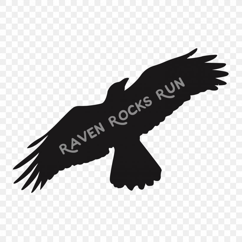 Bald Eagle Bird Of Prey Hooded Crow Common Starling, PNG, 1500x1500px, Bald Eagle, Accipitriformes, Beak, Bird, Bird Of Prey Download Free