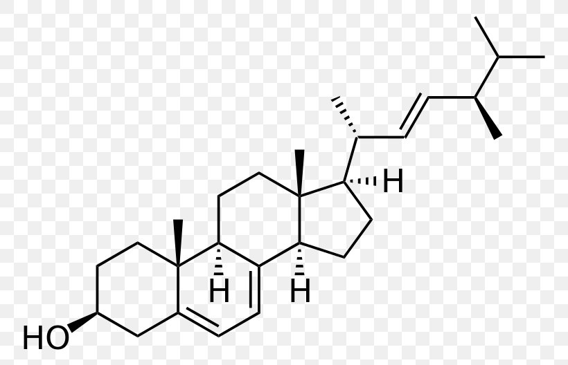 Cholesterol Molecule Cortisol Steroid, PNG, 800x528px, Cholesterol, Area, Bile Acid, Black And White, Brand Download Free